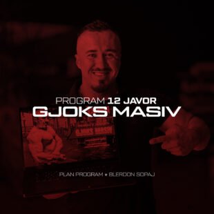 Ndërto GJOKS MASIV (eBook)