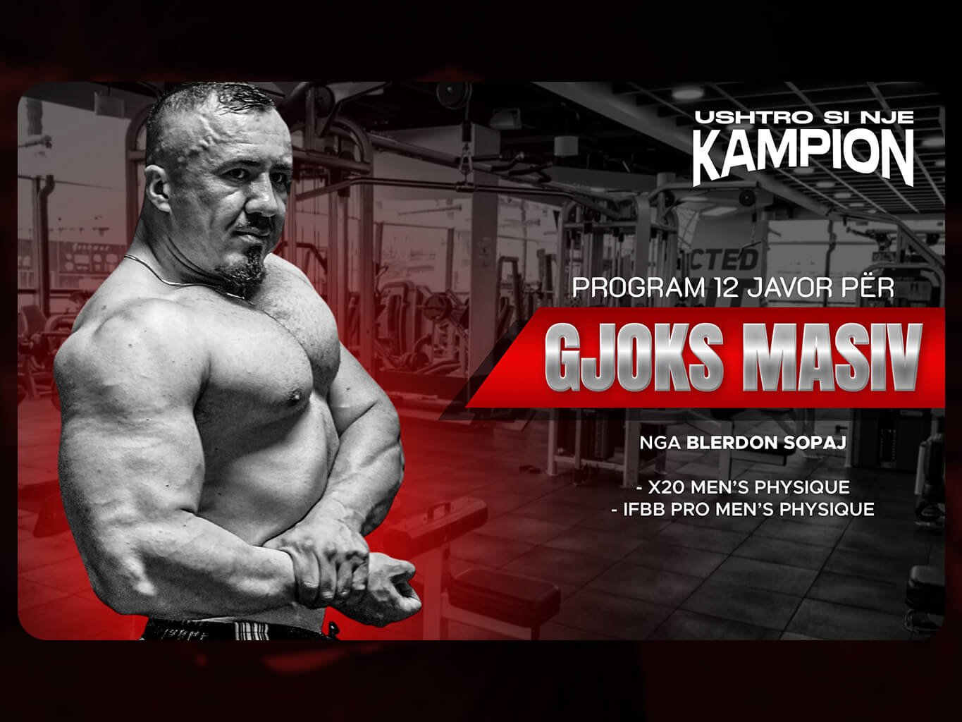 Ndërto GJOKS MASIV (eBook) - Image 2